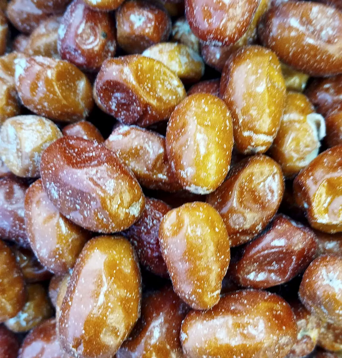 İğde - 1