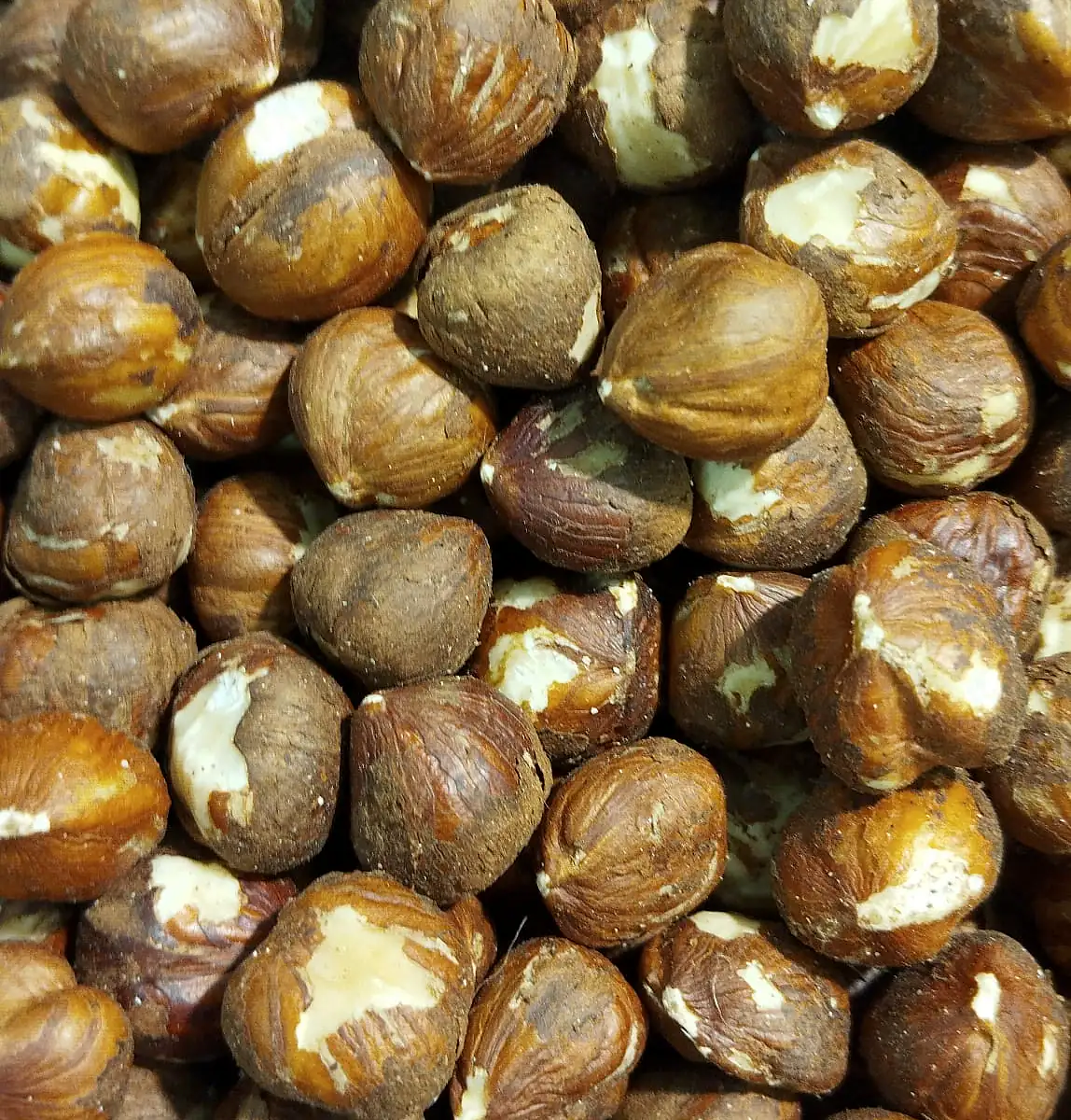 Çiğ Fındık - 1