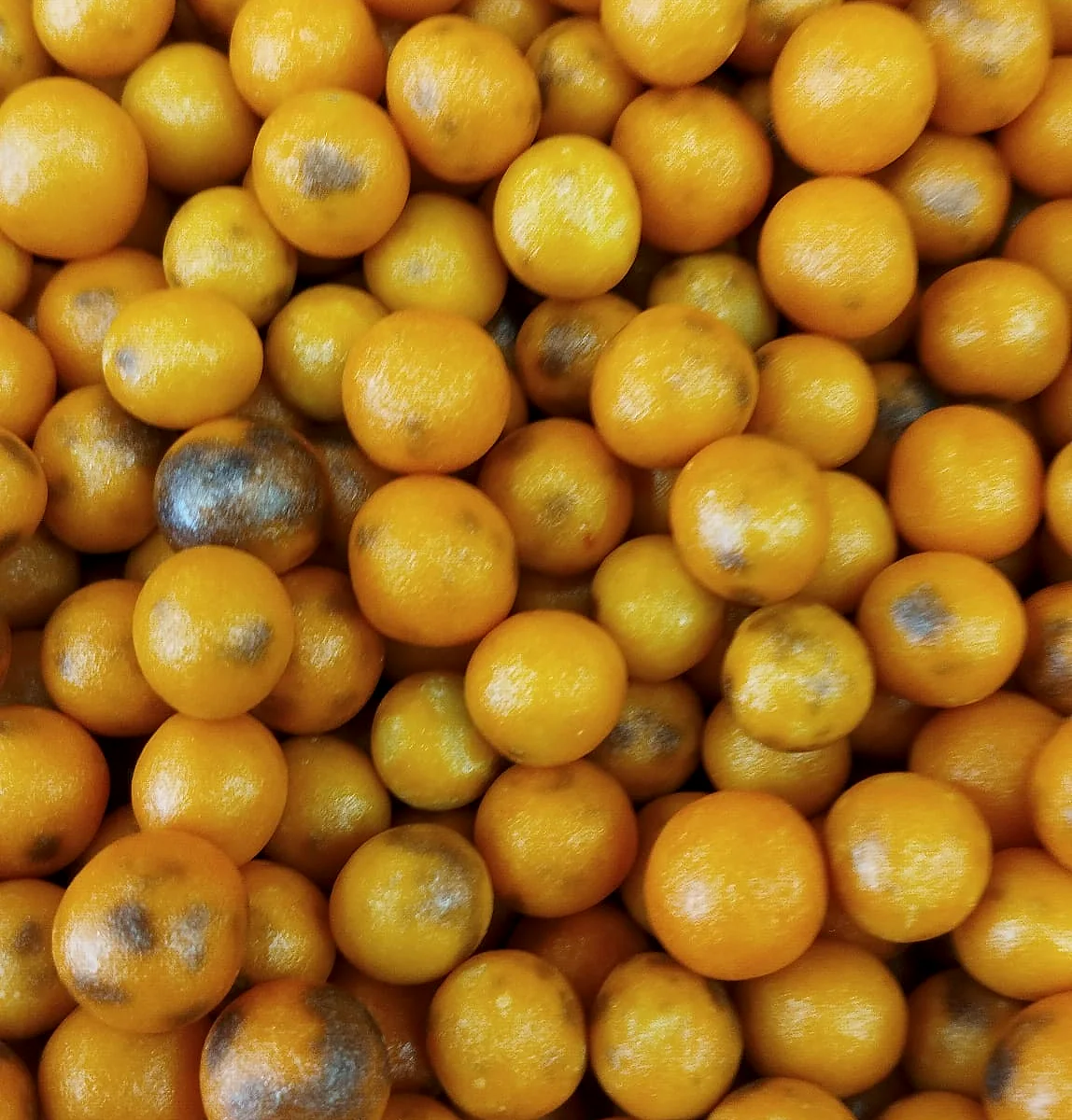 Kavun Aromalı Çikolatalı Leblebi - 1