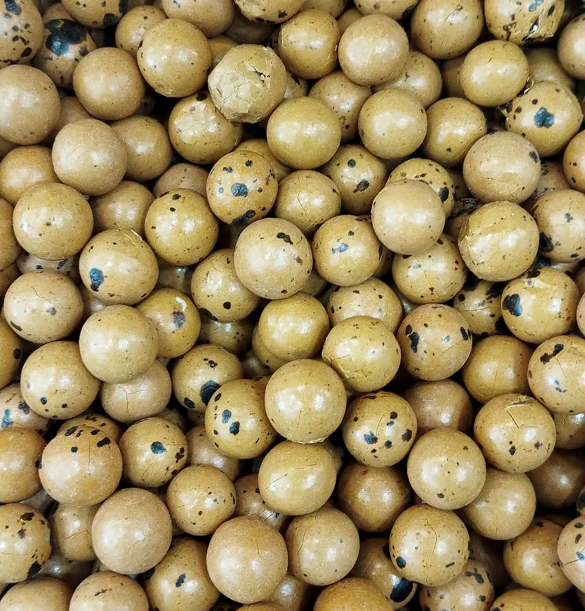 Kapuçino Leblebi - 1